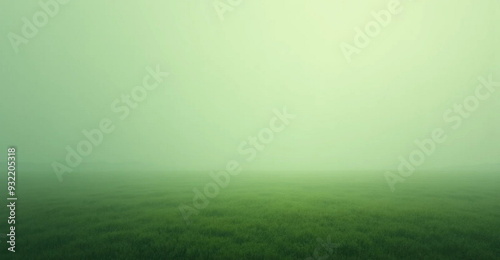 green field with fog
