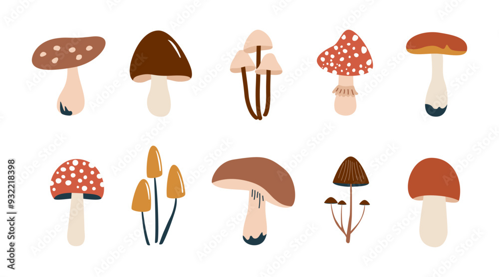 Simple flat set of various mushrooms Simple flat set of various mushrooms