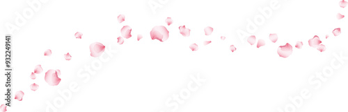 Flying pink petals transparent background. Beautiful floral overlay with lots of rose petals.