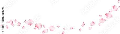 Flying pink petals transparent background. Beautiful floral overlay with lots of rose petals.