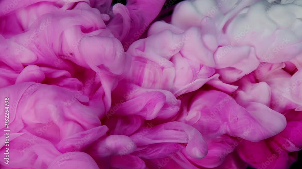 Fluid Artistry: Pink Ink and White Paint Creating Dynamic Cloud Patterns on Black Fluid Artistry: Pink Ink and White Paint Creating Dynamic Cloud Patterns on Black