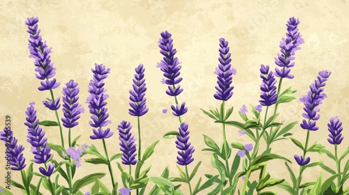 A vibrant lavender flower in full bloom against a soft, textured background is perfect for nature-inspired designs.