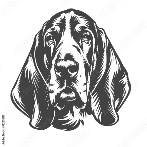 beagle dog portrait, basset hound bread