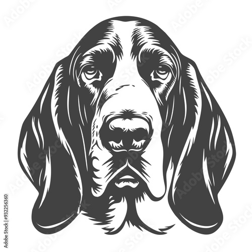beagle dog portrait, basset hound bread