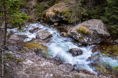 A narrow turbulent mountain river in the coniferous forest. Demyanishka river in Pirin national park, Bulgaria.