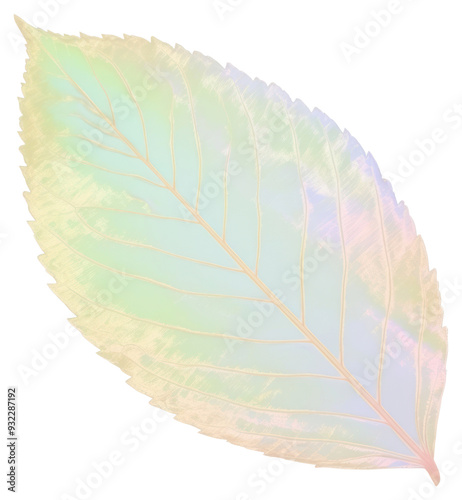 PNG Pastel iridescent leaf art