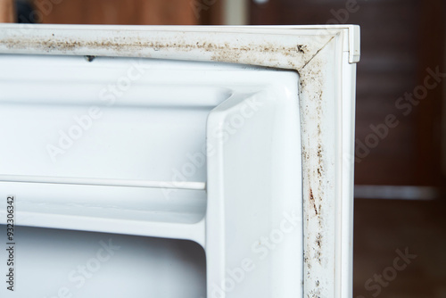 Terrible unhealthy mold on the elastic band of the home refrigerator.