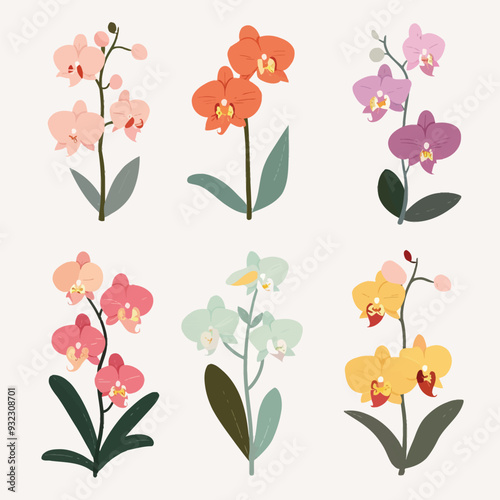Vector Orchid simple and minimalis