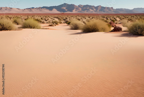 sand dunes in the desert photo