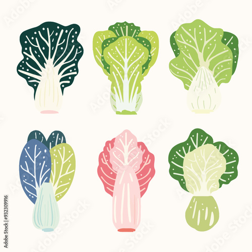 Vector Napa Cabbage simple and min