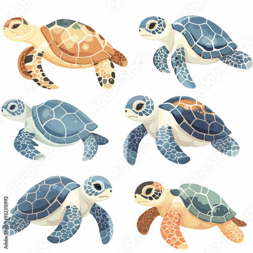 Vector Sea Turtle simple and minim