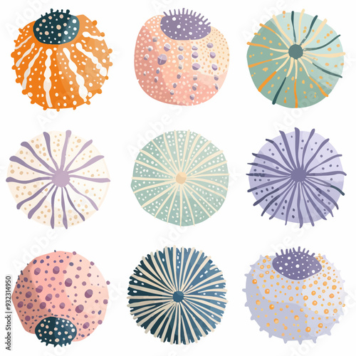 Vector Sea Urchin simple and minim