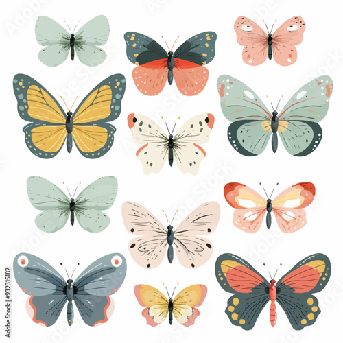 Vector Butterfly simple and minima