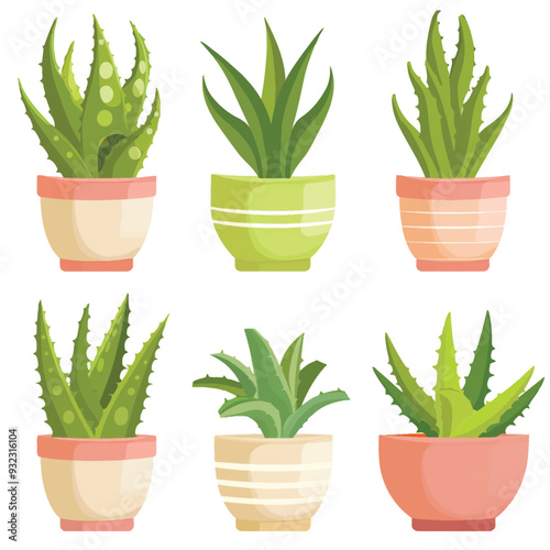 Vector Aloe Vera simple and minima