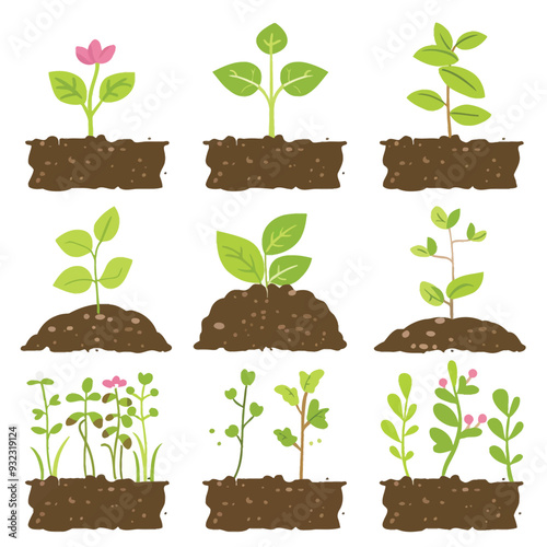 Vector Garden Soil simple and mini