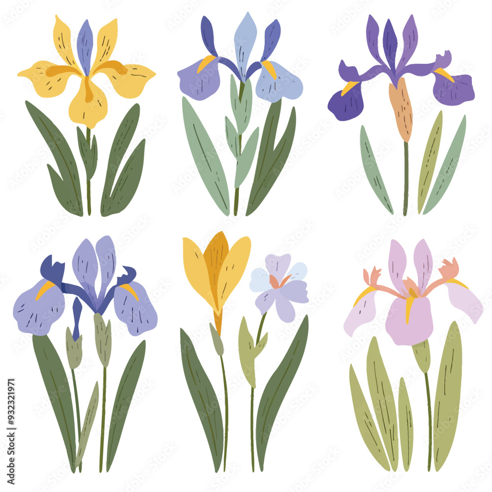 Vector Iris simple and minimalist Vector Iris simple and minimalist