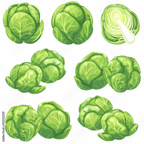 Vector Brussels Sprouts simple and