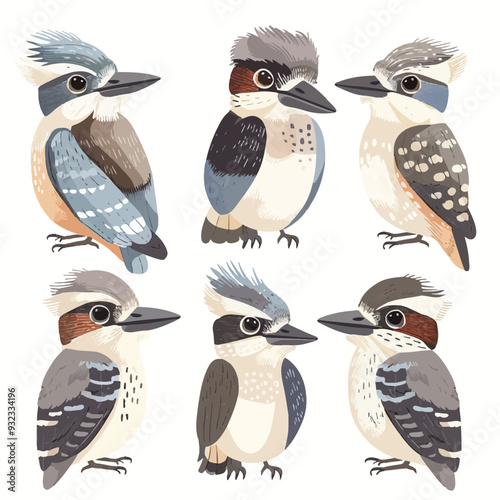 Vector Kookaburra simple and minim