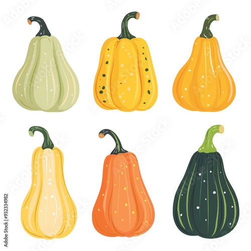 Vector Squash simple and minimalis