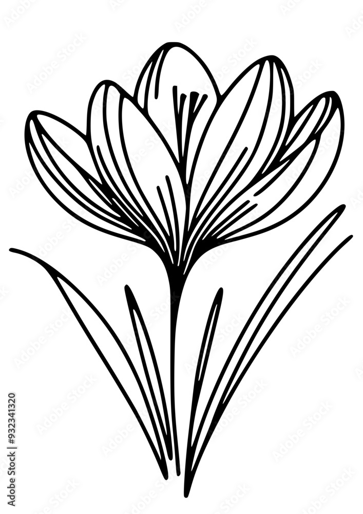 Flowers SVG, Plant SVG, Blossom SVG, Anemone SVG, Rose bud SVG, Astilbe SVG, Clematis SVG, Cornflower SVG, Daylily SVG, Delphinium SVG, Flowers Design, Flowers Silhouette, Cut file for Cricut PNG, JPG Flowers SVG, Plant SVG, Blossom SVG, Anemone SVG, Rose bud SVG, Astilbe SVG, Clematis SVG, Cornflower SVG, Daylily SVG, Delphinium SVG, Flowers Design, Flowers Silhouette, Cut file for Cricut PNG, JPG