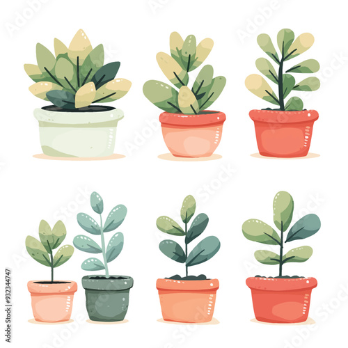 Vector Jade Plant simple and minim
