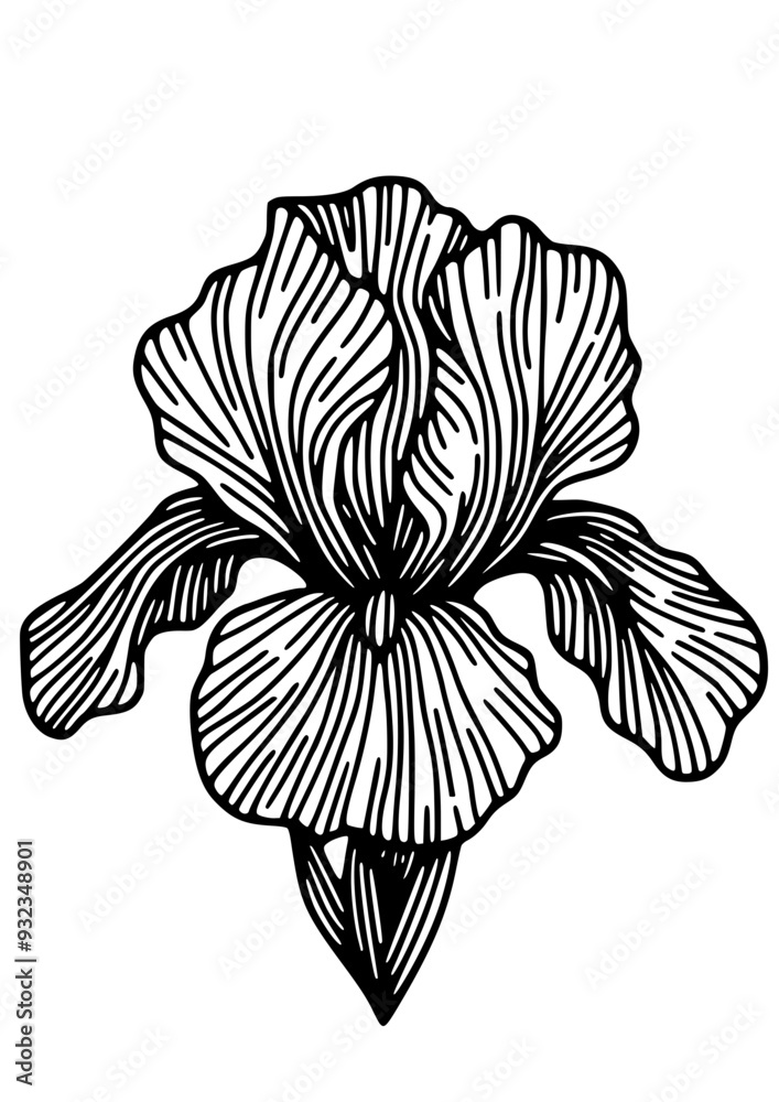 Fototapeta premium Flowers SVG, Lily SVG, Peony SVG, Daisy SVG, Cherry Blossom SVG, Poppy SVG, Gladiolus SVG, Blossom SVG, Plant SVG, Flowers Design, Flowers Silhouette, Cut file for Cricut SVG, JPG, PNG