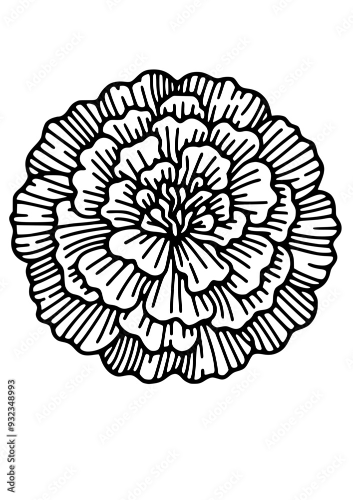 Flowers SVG, Floral SVG, Plant SVG, Blossom SVG, Flora SVG, Nature SVG, Leaves SVG, Green SVG, Gift for girl SVG, Flowers Silhouette, Flowers Design, Cut file for Cricut SVG, JPG, PNG Flowers SVG, Floral SVG, Plant SVG, Blossom SVG, Flora SVG, Nature SVG, Leaves SVG, Green SVG, Gift for girl SVG, Flowers Silhouette, Flowers Design, Cut file for Cricut SVG, JPG, PNG