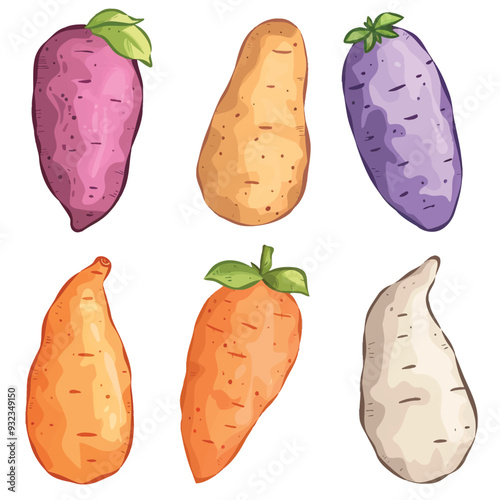 Vector Sweet Potato simple and min