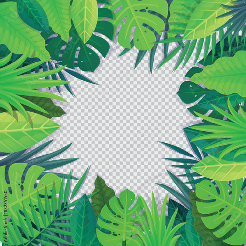Tropical Leaf square Frame Green jungle foliage vector illustration with transparent background. Stock vector illustration in cartoon style.