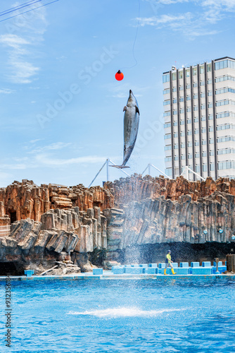 Wallpaper Mural ジャンプするイルカと水族館の風景 Torontodigital.ca