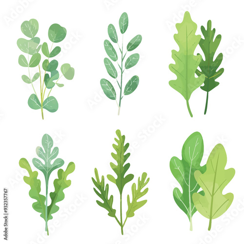 Vector Arugula simple and minimali