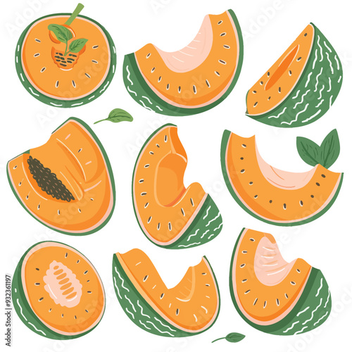 Vector Cantaloupe simple and minim