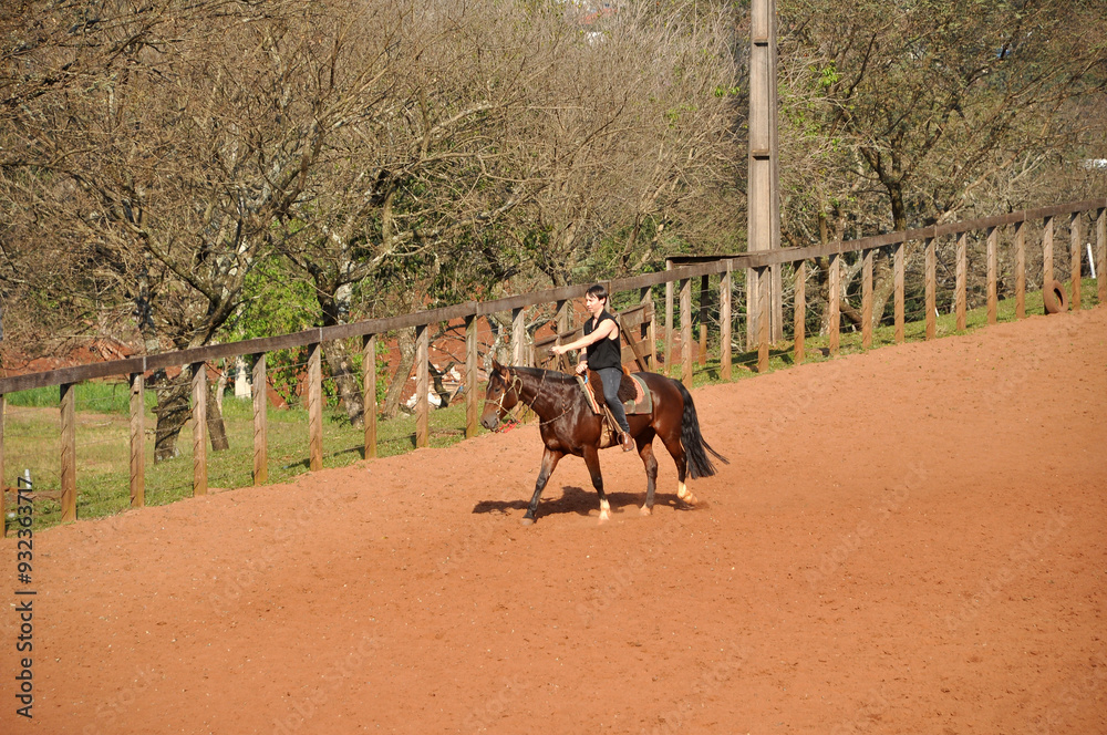 Naklejka premium homem cavalgando andando de cavalo em arena externa 