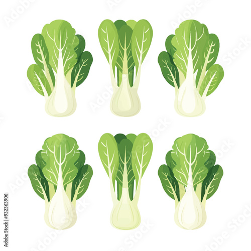 Vector Bok Choy simple and minimal