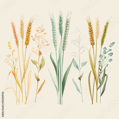 Vector Wheat Field simple and mini