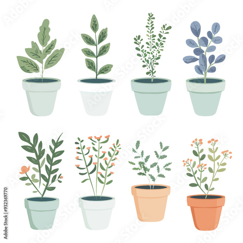 Vector Herb Garden simple and mini