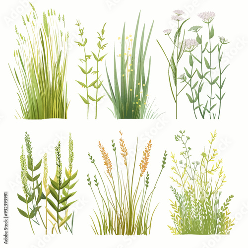 Vector Fresh Grass simple and mini