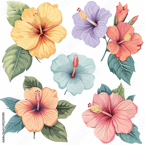 Vector Hibiscus simple and minimal