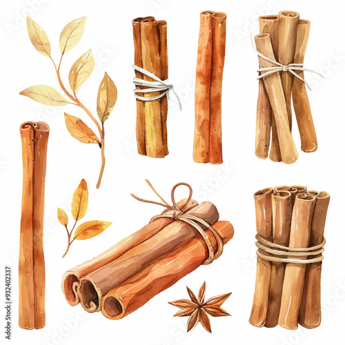 Vector Cinnamon Stick simple and m