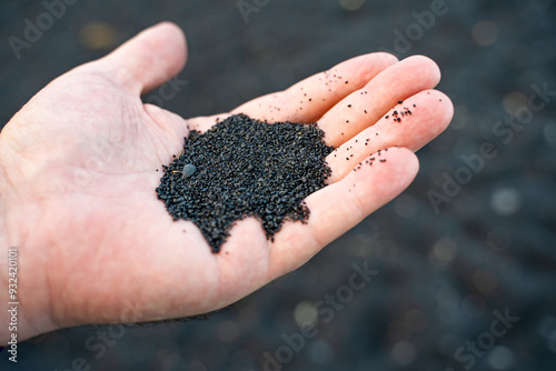 A man holds black lava sand in his hand, Punaluu Black Sand Beach, Big Island, Hawaii