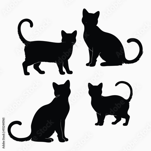 Exotic shorthair cat silhouette vector template illustration