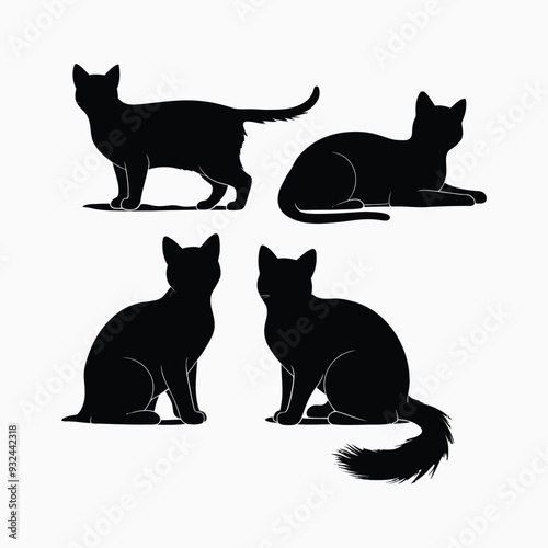 Exotic shorthair cat silhouette vector template illustration
