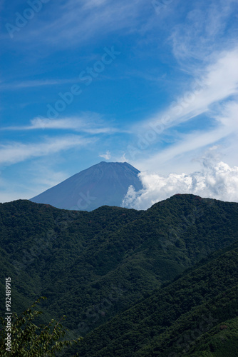 山梨県南巨摩郡身延町から望む夏の富士山