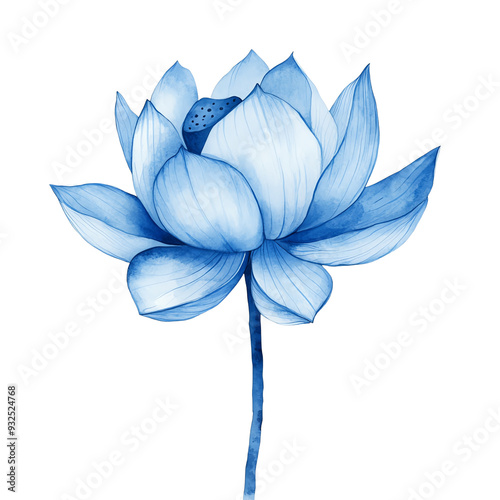 Elegant blue lotus flower illustration on transparent background, perfect for designs, decor, and nature-themed projects. photo