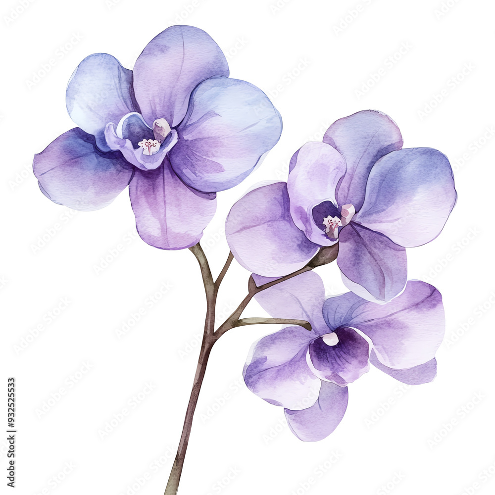 Obraz premium Elegant watercolor painting of purple orchids with delicate petals, perfect for floral and botanical themed designs.