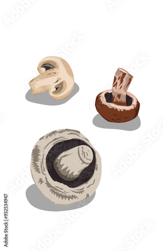 Three raw shiitake mushrooms on white