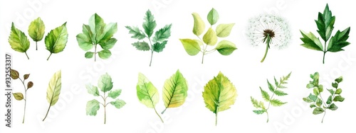A collection of watercolor green leaves on a white background featuring dandelion maple oak and other varieties