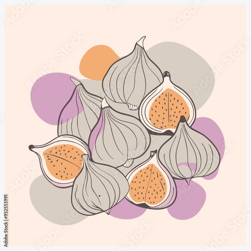 Lush Cluster Fig Fruit Vector Illustration, Vibrant and Detailed Design