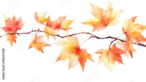 Branch of maple leaves Watercolor illustration Hand painted