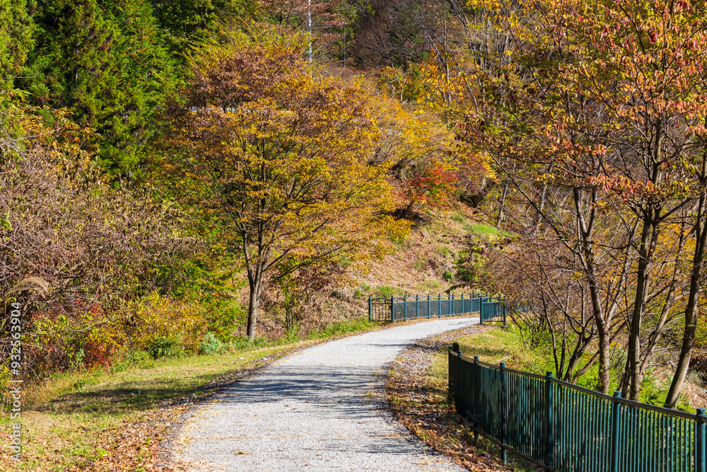 日本の風景・秋 群馬県安中市 紅葉のアプトの道 日本の風景・秋 群馬県安中市 紅葉のアプトの道